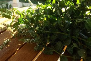 borsmenta aromavíz