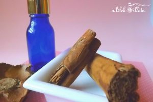 a fahéj illóolaj melegít